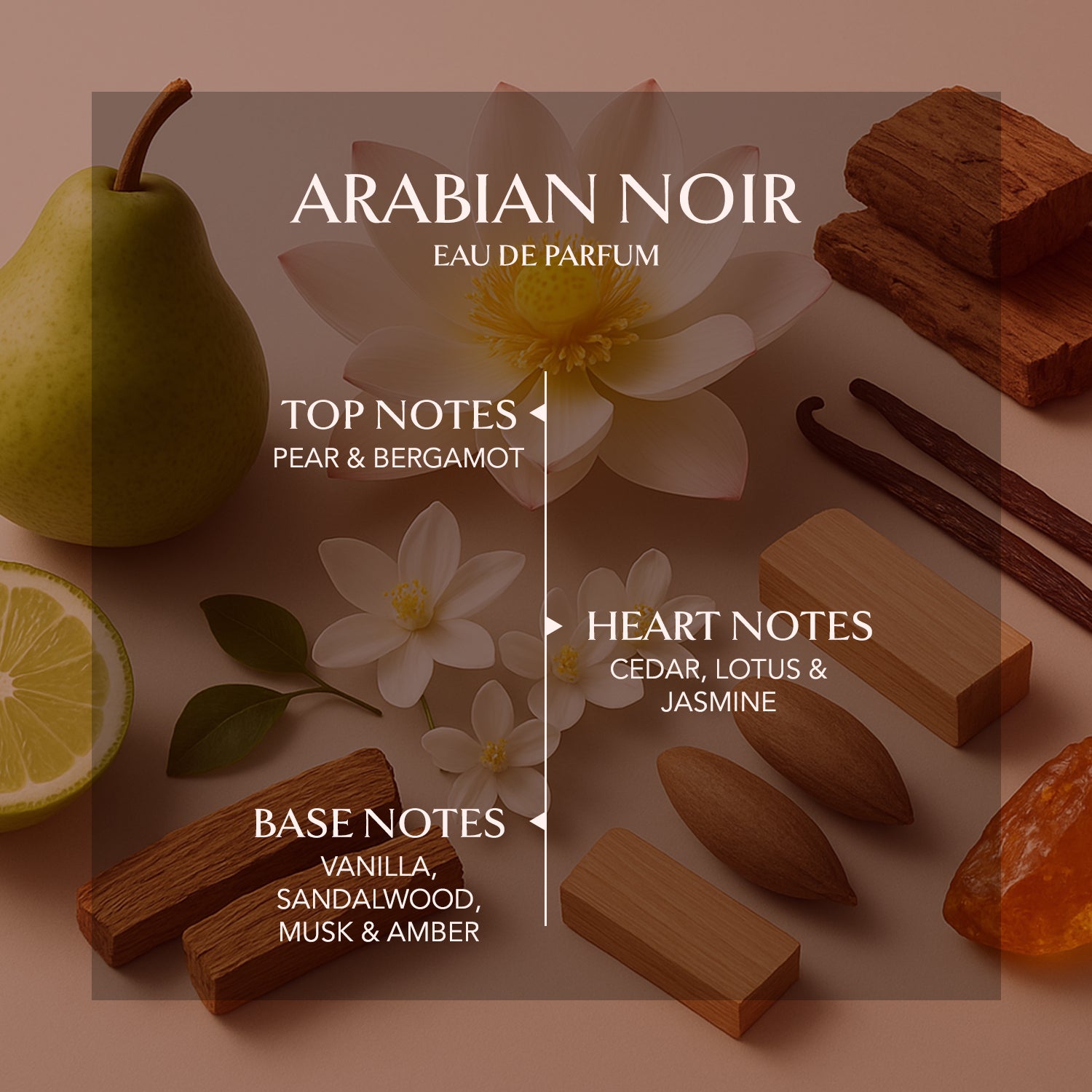 Arabian Noir luxury perfume for him stating fragrance notes such as pear & bergamot as top notes, cedar, lotus and jasmine as heart notes, and vanilla, sandalwood, musk and amber as base notes