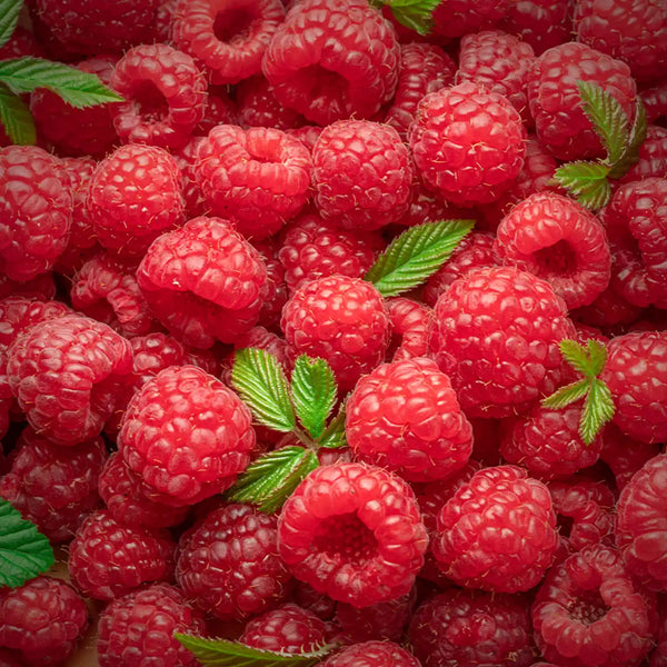 Raspberry