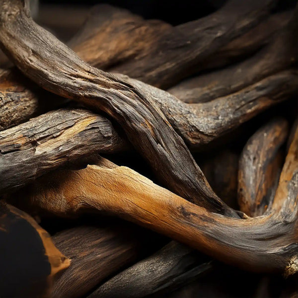 Woody Notes